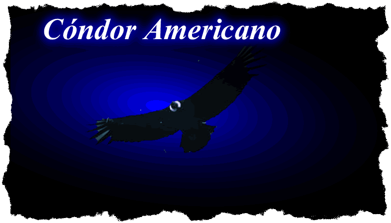C�ndor Americano